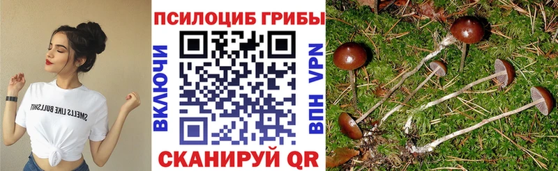 Псилоцибиновые грибы GOLDEN TEACHER  как найти закладки  Яранск 